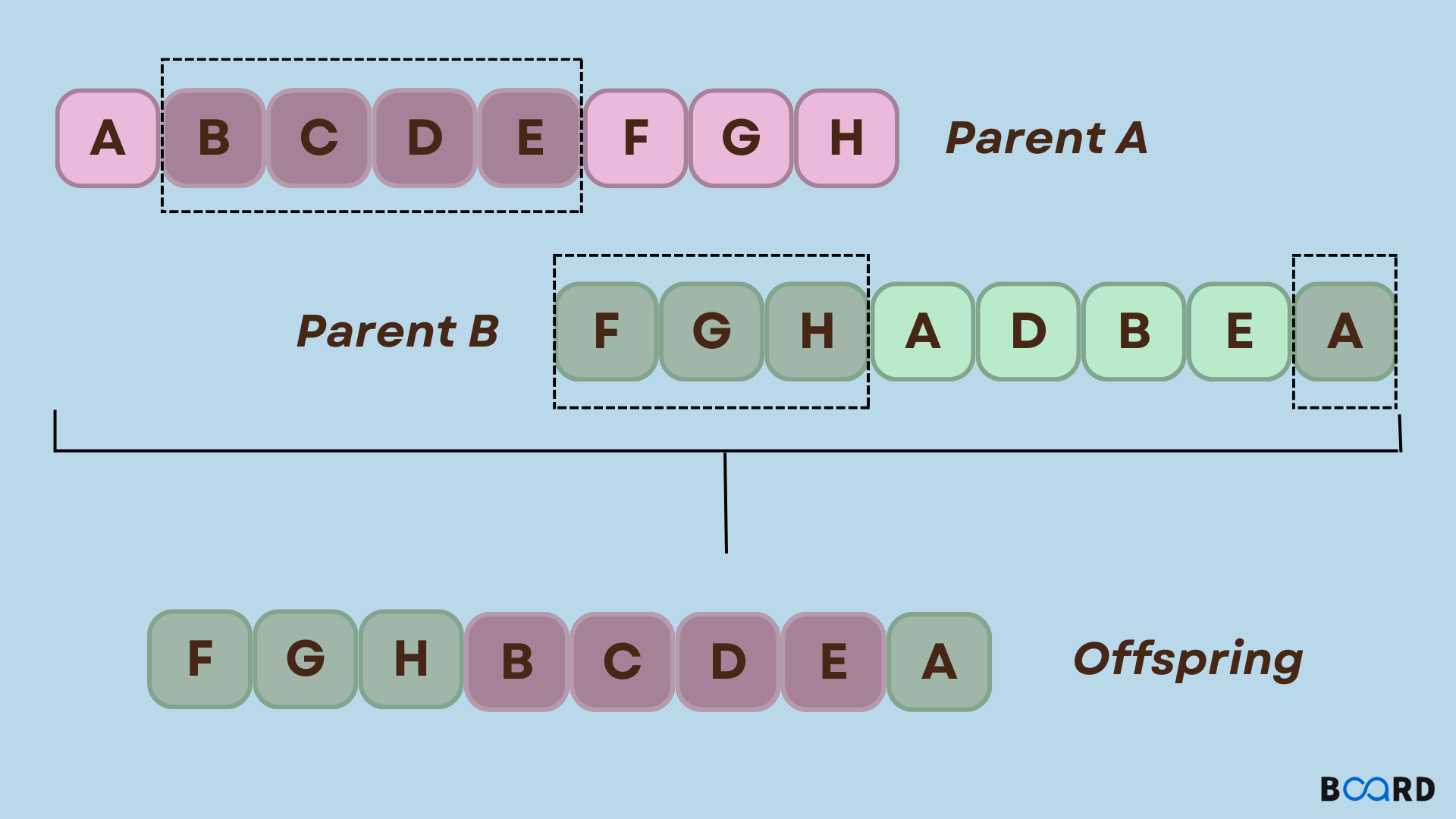 Genetic Algorithm in Machine Learning | Board Infinity