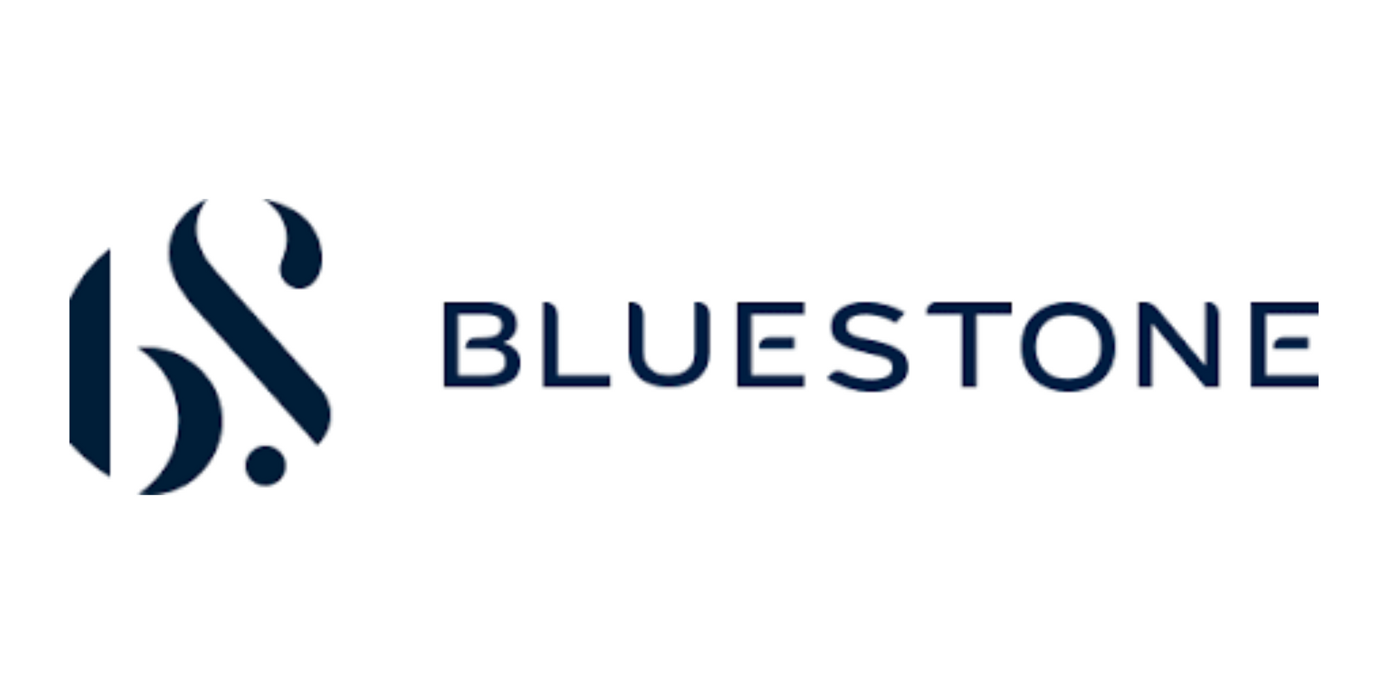 BlueStone: Innovating the Jewelry Market with Craftsmanship & Technology