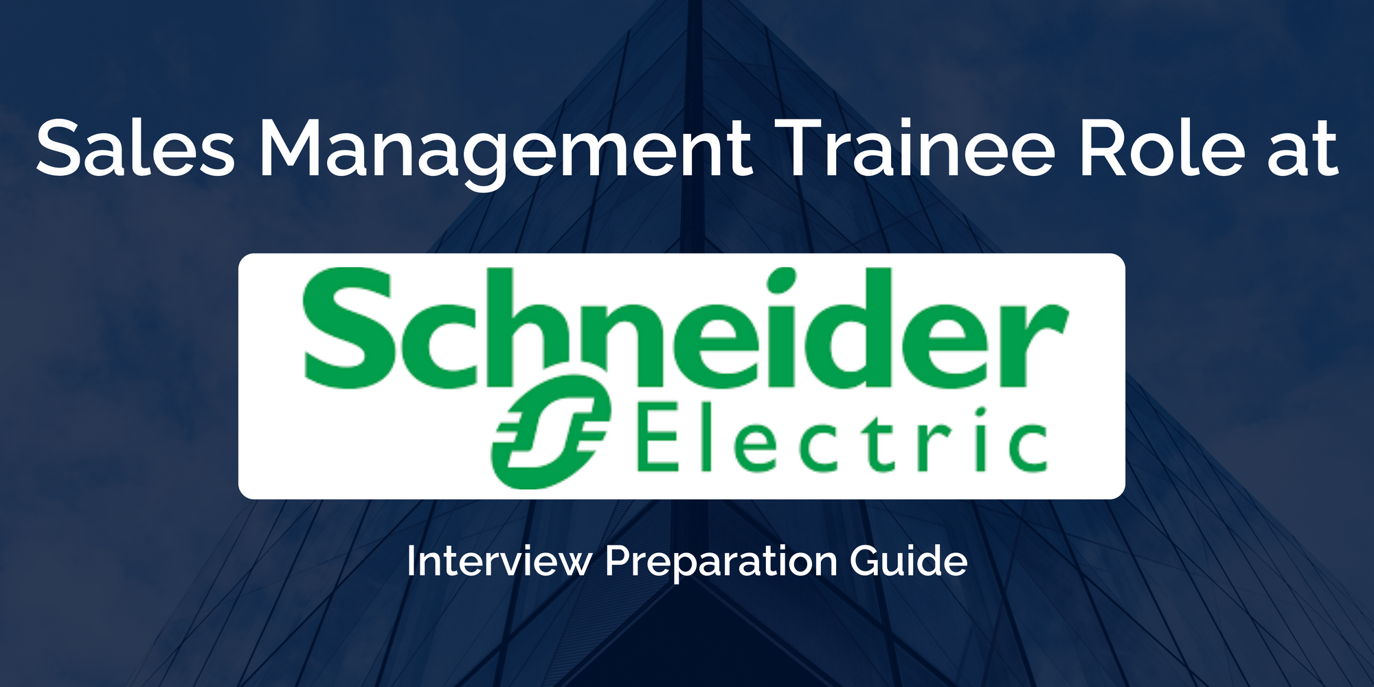 Schneider Electric: Sales Management Trainee Interview: A Comprehensive Preparation Guide