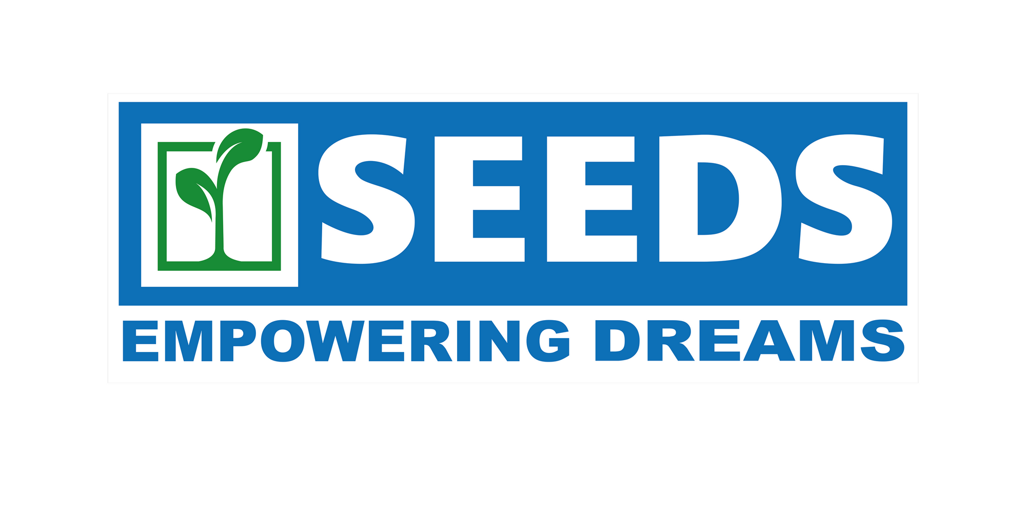 Seeds Fincap: Interview Preparation A Comprehensive Guide to Careers, Culture & Process