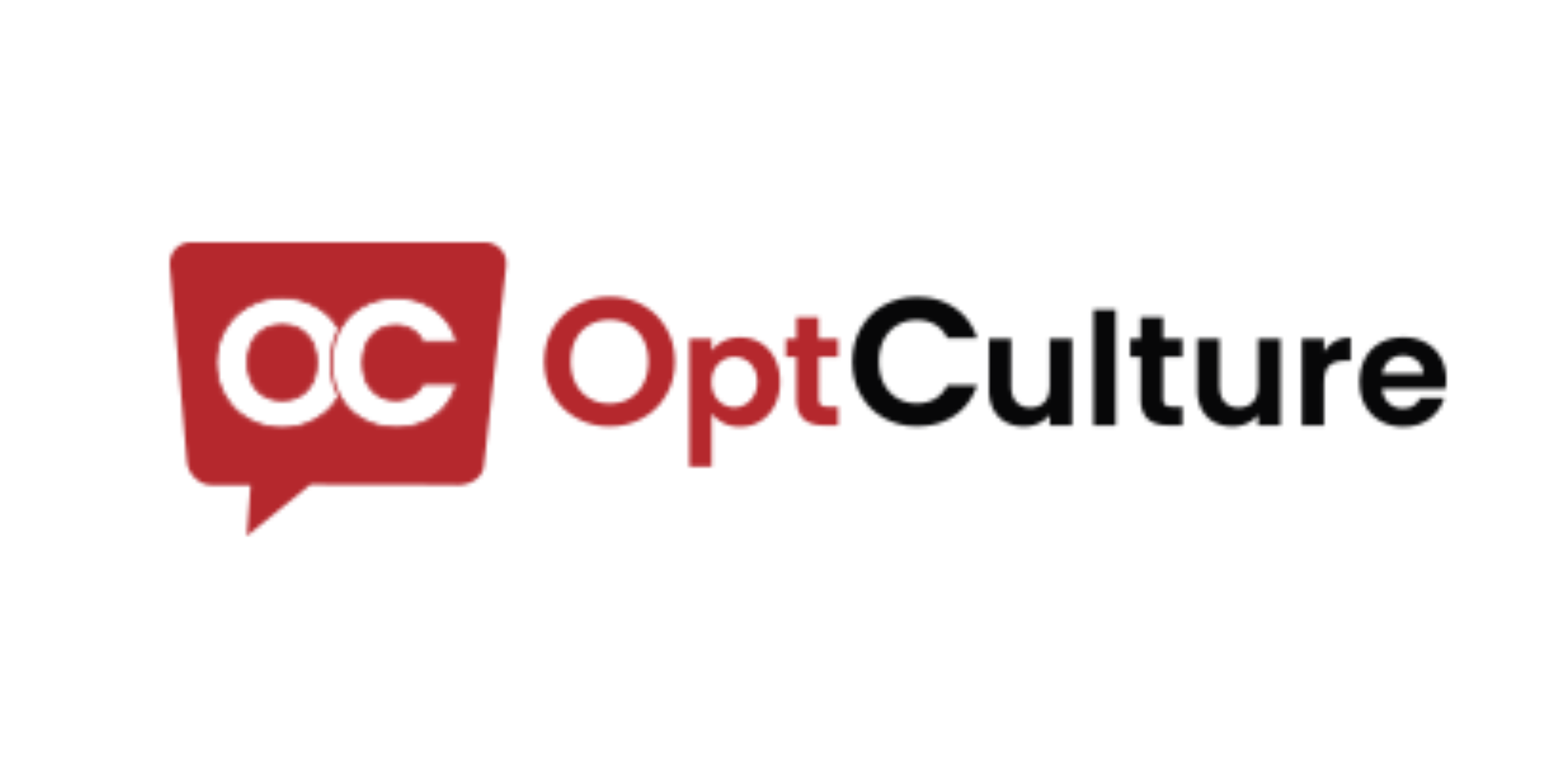 OptCulture: A Comprehensive Interview Preparation Guide to Success