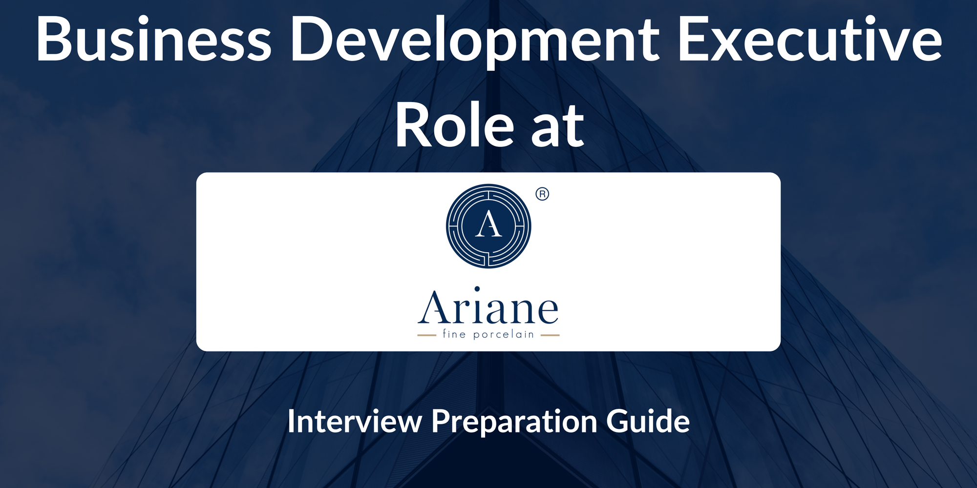Ariane Fine Porcelain: Interview Preparation For Business Development Executive - A Complete Guide