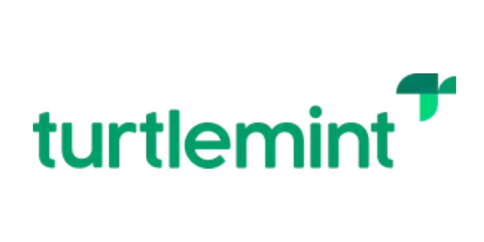 Turtlemint: A Comprehensive Interview Preparation Guide to Success