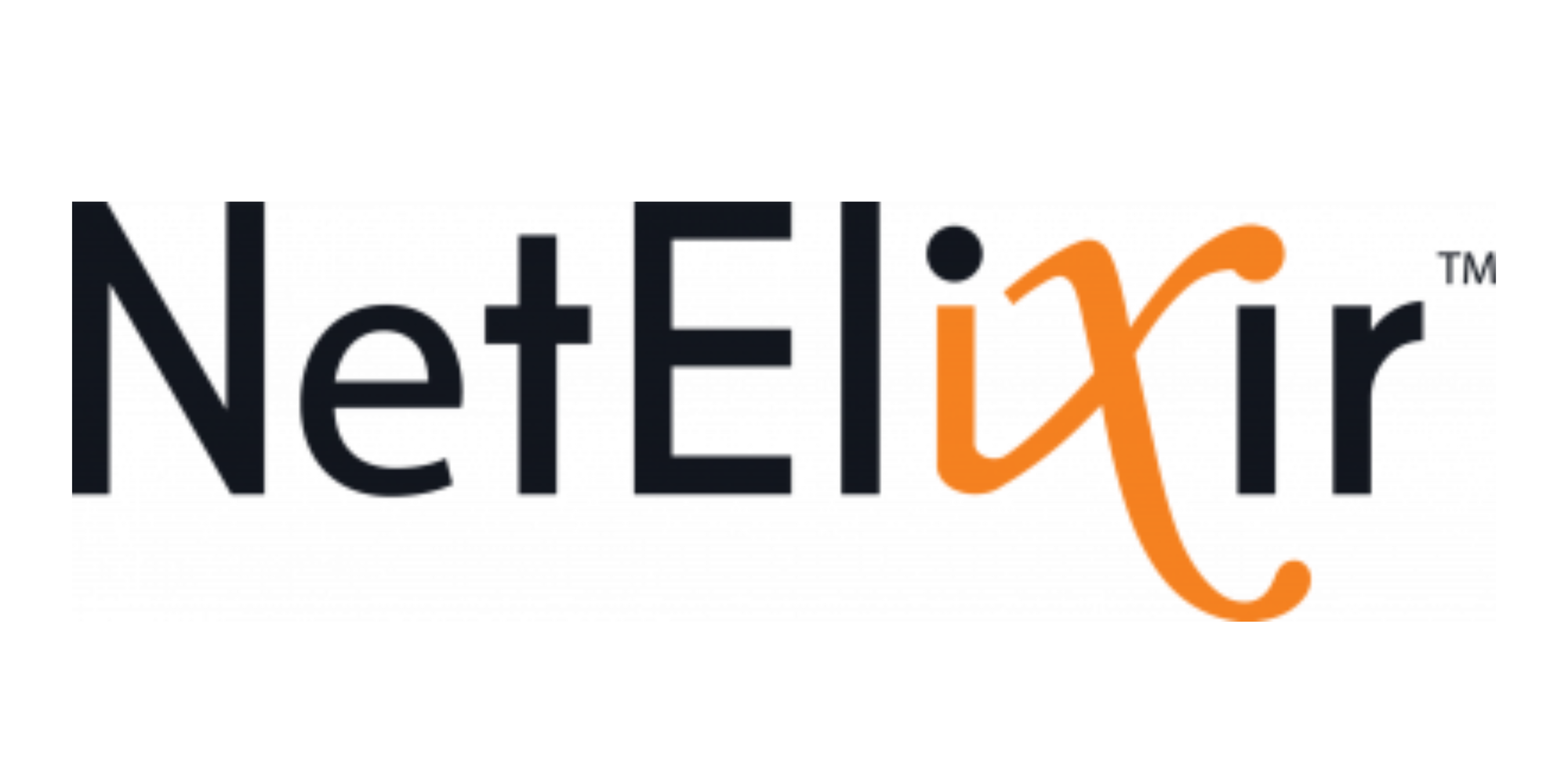 NetElixir: A Comprehensive Interview Preparation Guide to Success