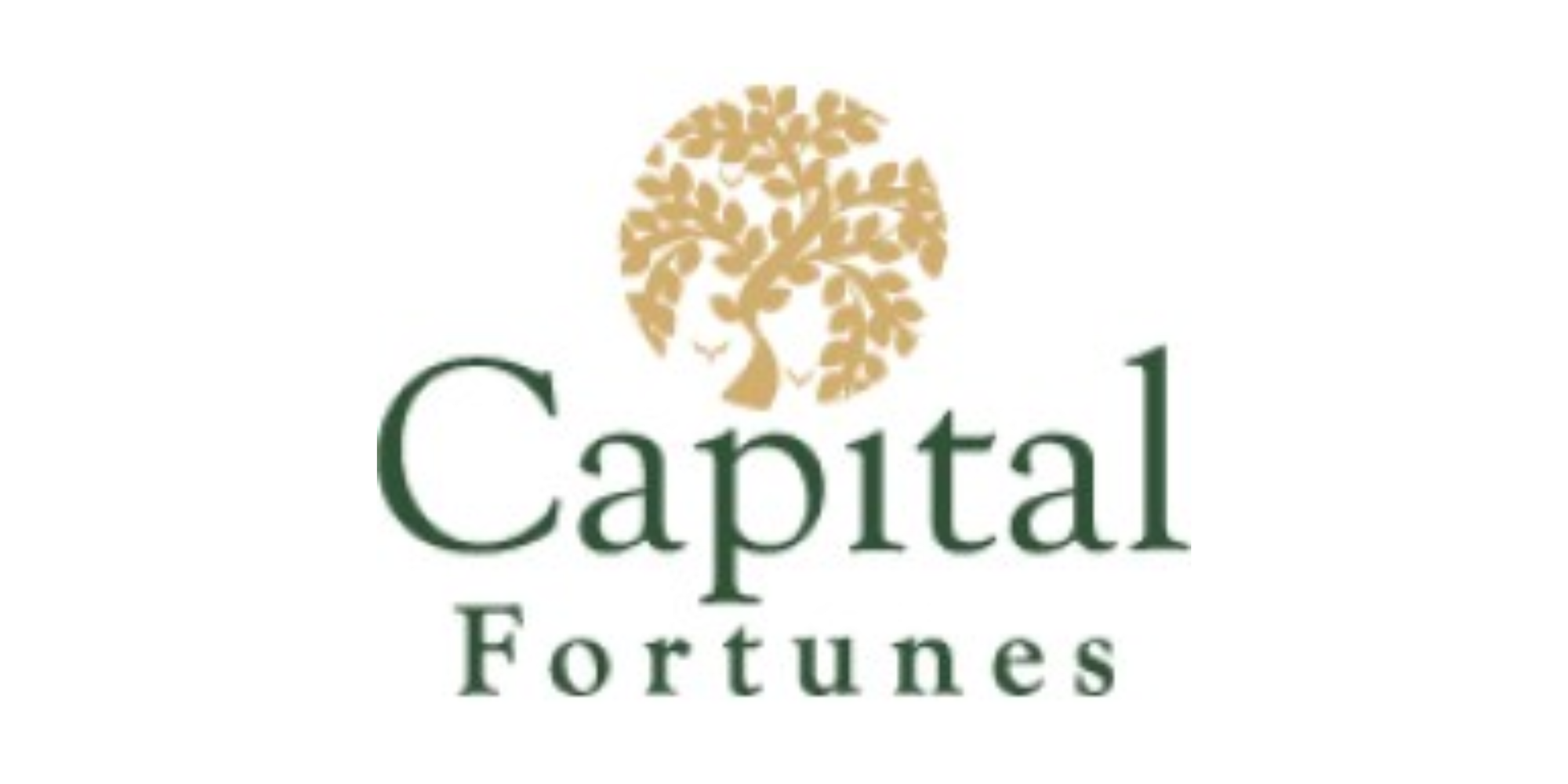 Capital Fortunes: A Comprehensive Interview Preparation Guide to Success
