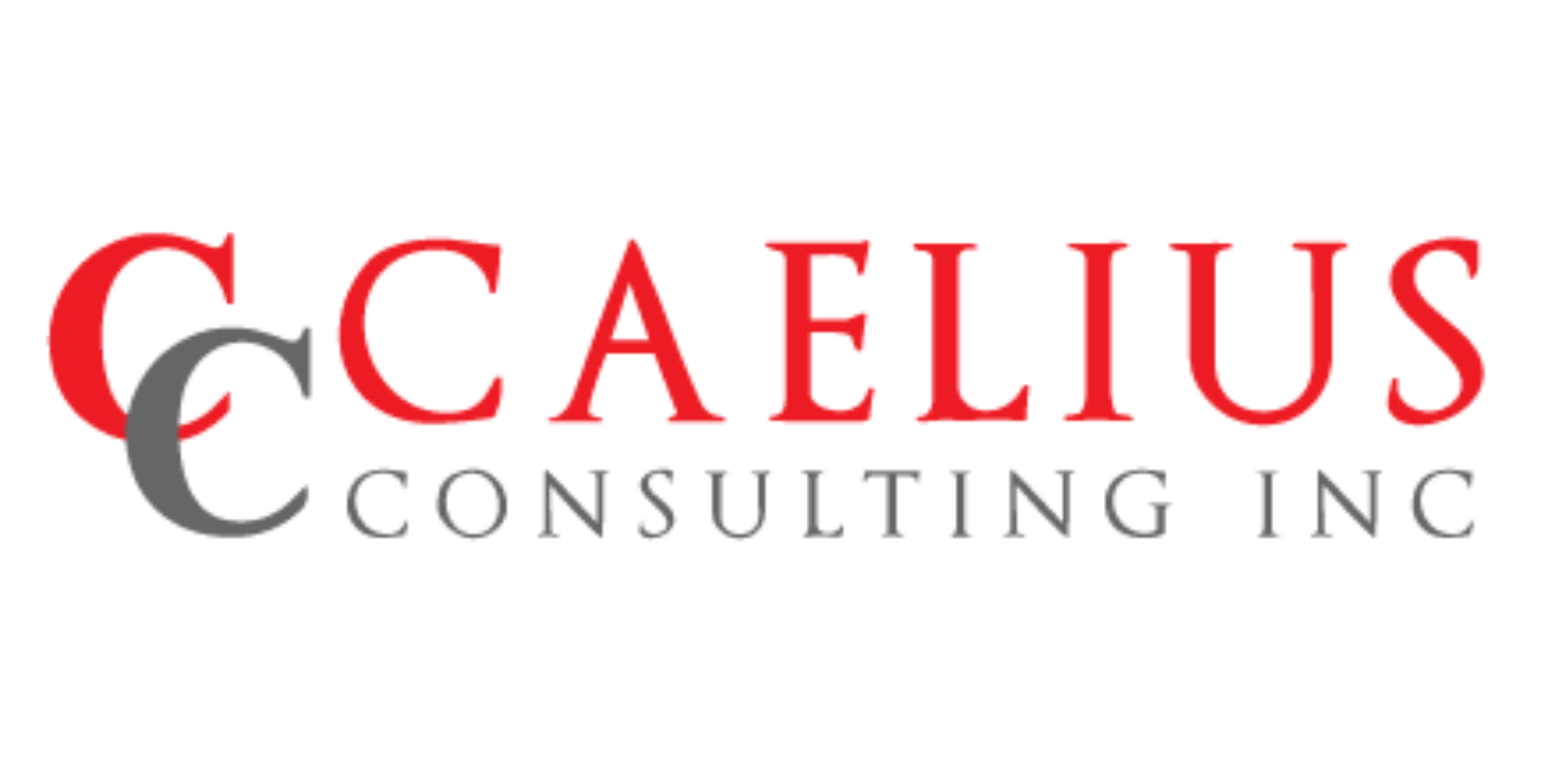 Caelius Consulting: A Comprehensive Interview Preparation Guide to Success