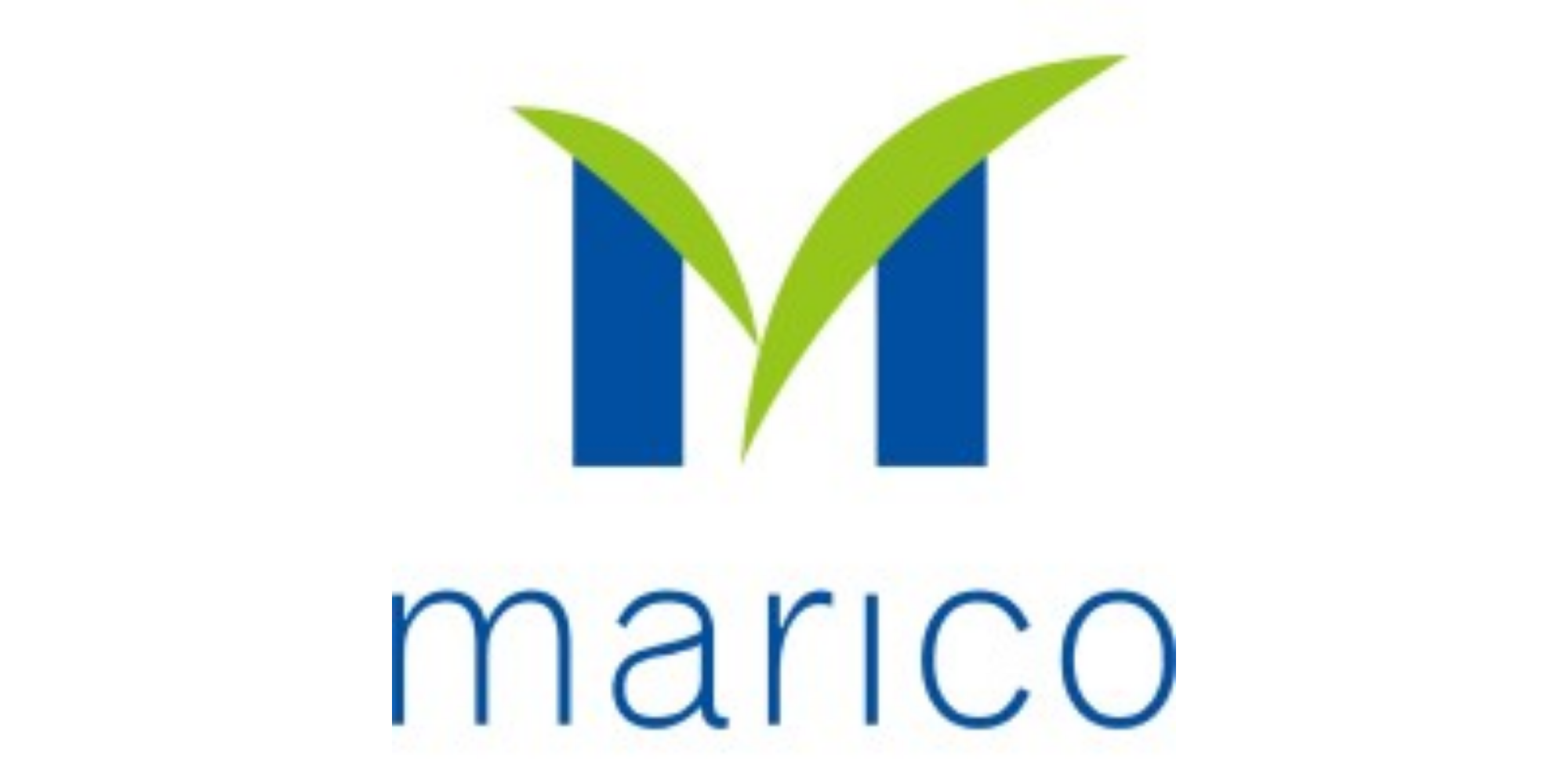 Marico: A Comprehensive Interview Preparation Guide to Success