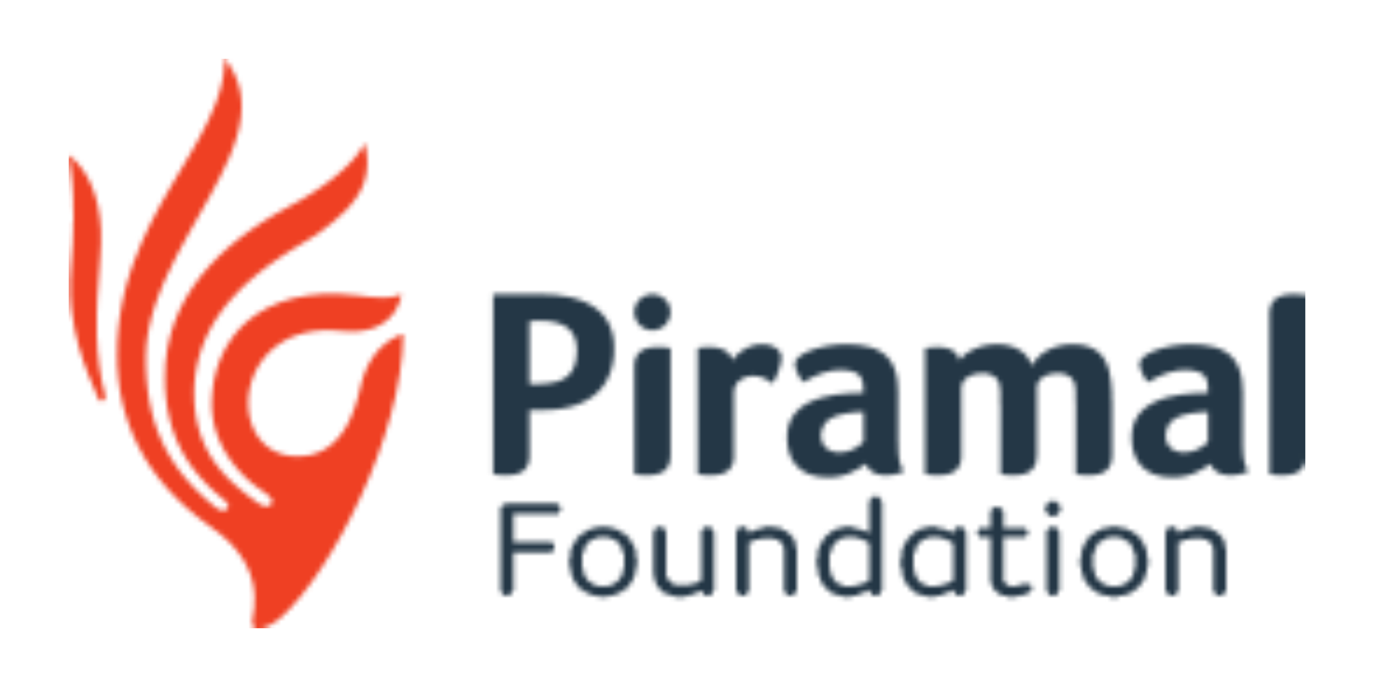 Piramal Foundation: A Comprehensive Interview Preparation Guide to Success
