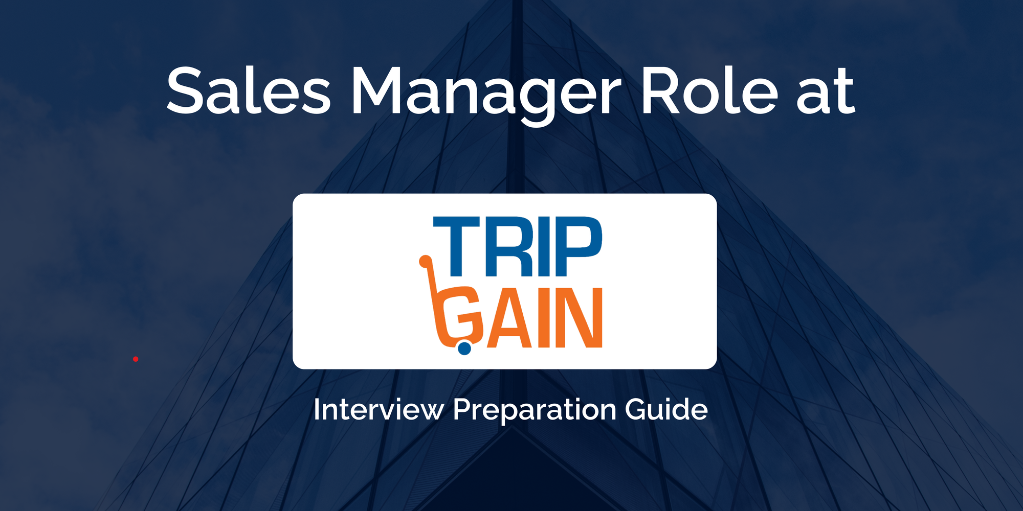 TripGain: Interview Preparation For Sales Manager Role