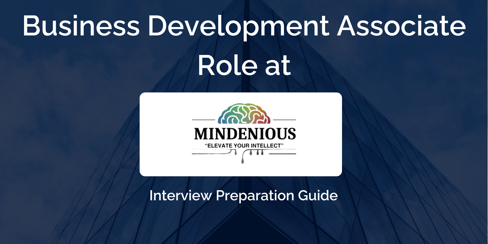 Mindenious Edutech: Interview Preparation For Business Development Associate Role