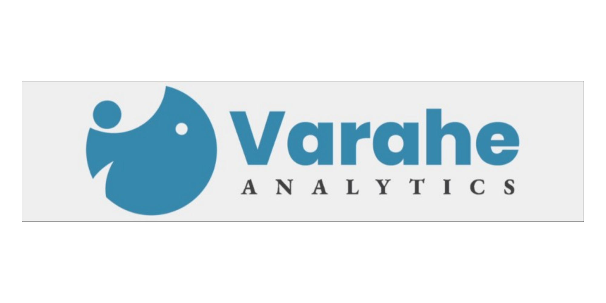Varahe Analytics: A Comprehensive Interview Preparation Guide to Success