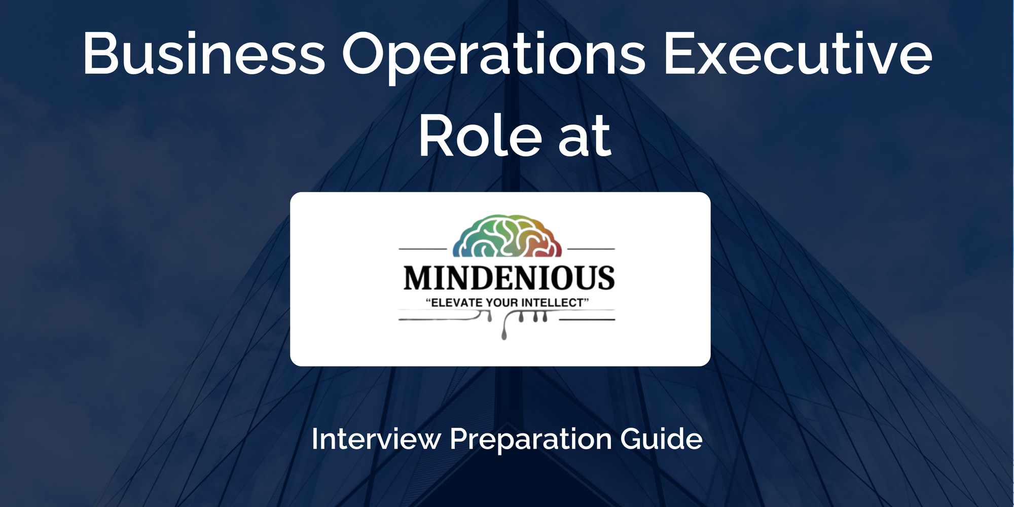 Mindenious Edutech: Interview Preparation For Business Operations Executive Role