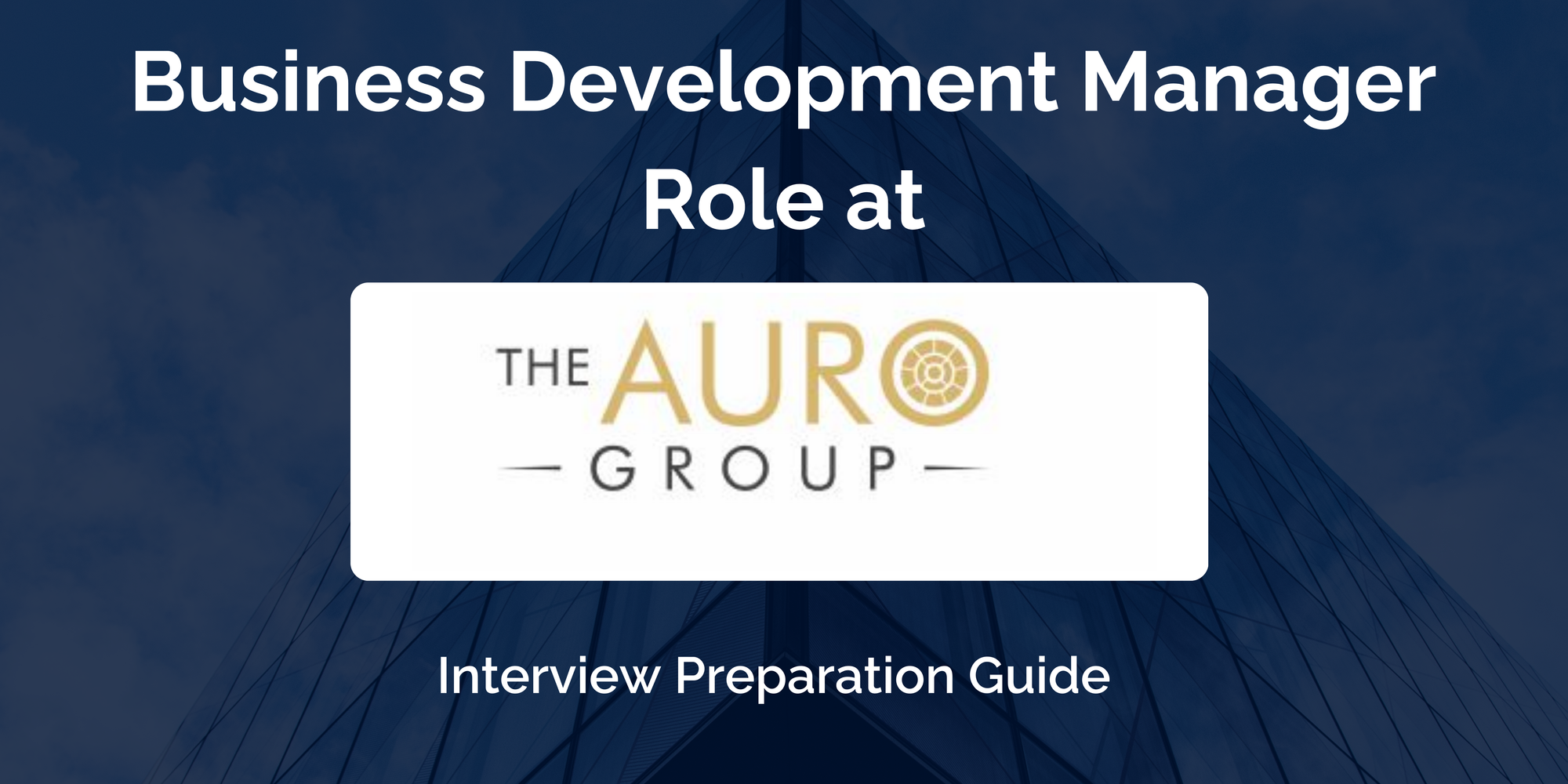 Auro Group Ventures: Interview Preparation For Business Development Manager Role