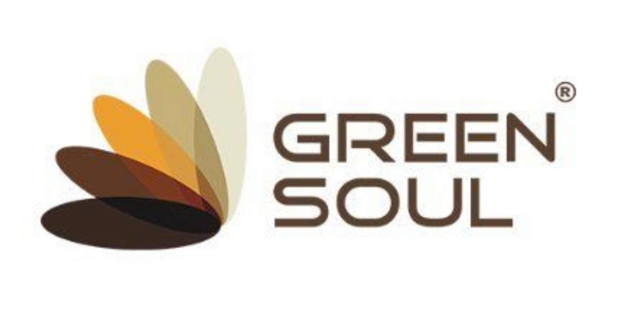 GreenSoul: A Comprehensive Interview Preparation Guide to Success