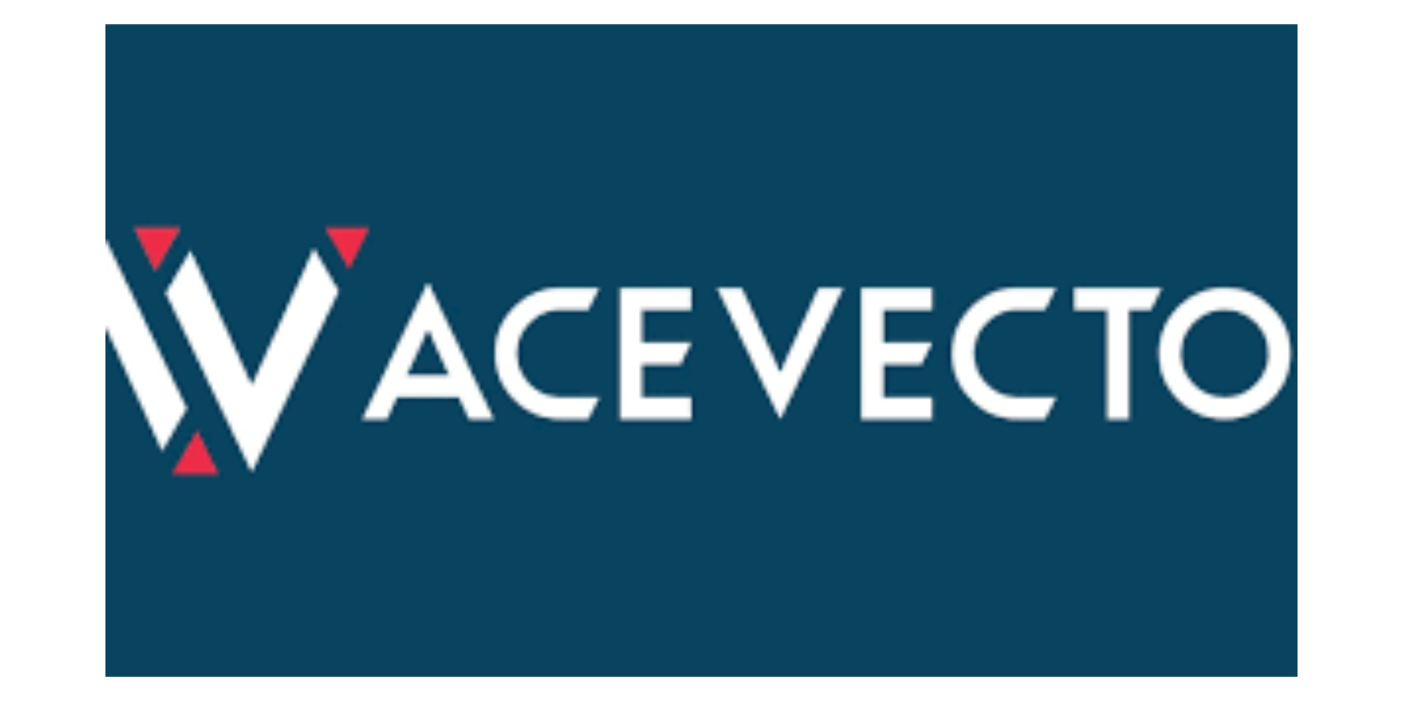 AceVector: A Comprehensive Interview Preparation Guide to Success