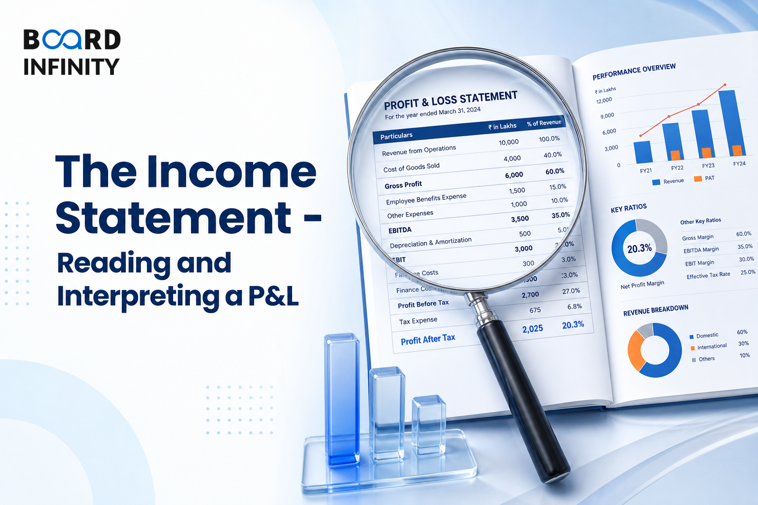 The Income Statement - Reading and Interpreting a P&L