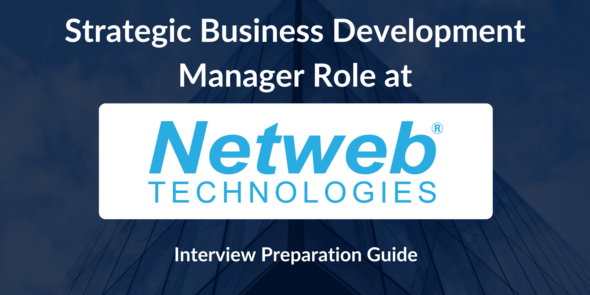 Netweb: Interview Preparation For Strategic Business Development Manager Role