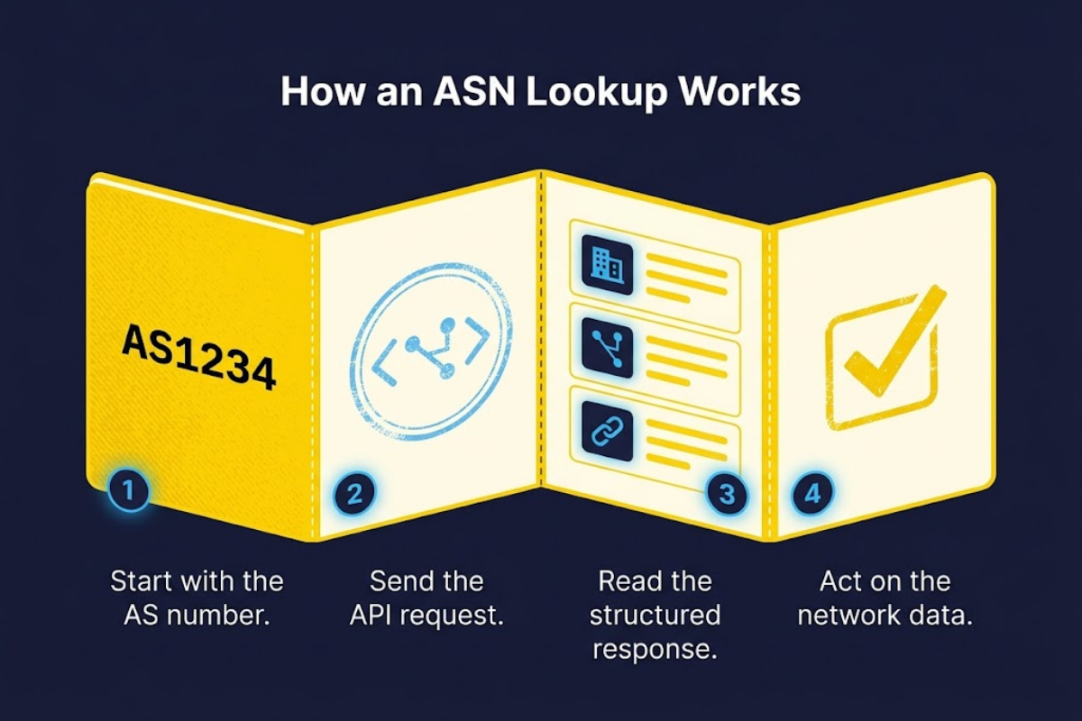 ASN Lookup in Computer Networks: Meaning, Uses & How It Works