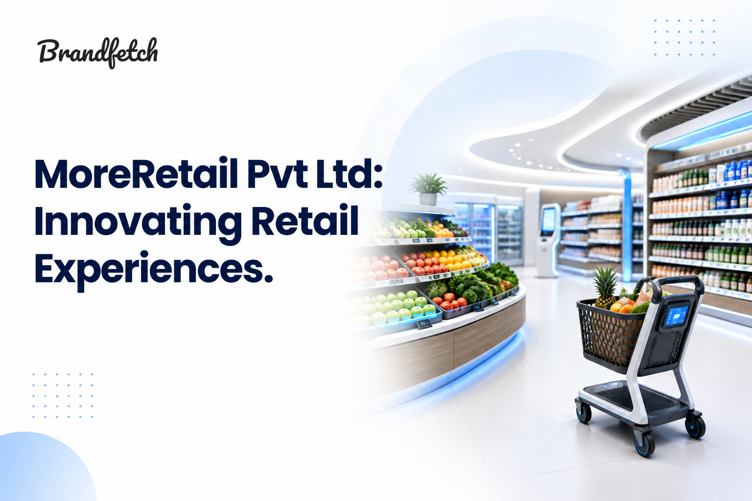 MoreRetail Pvt Ltd: Company Overview, History, Mission and Services