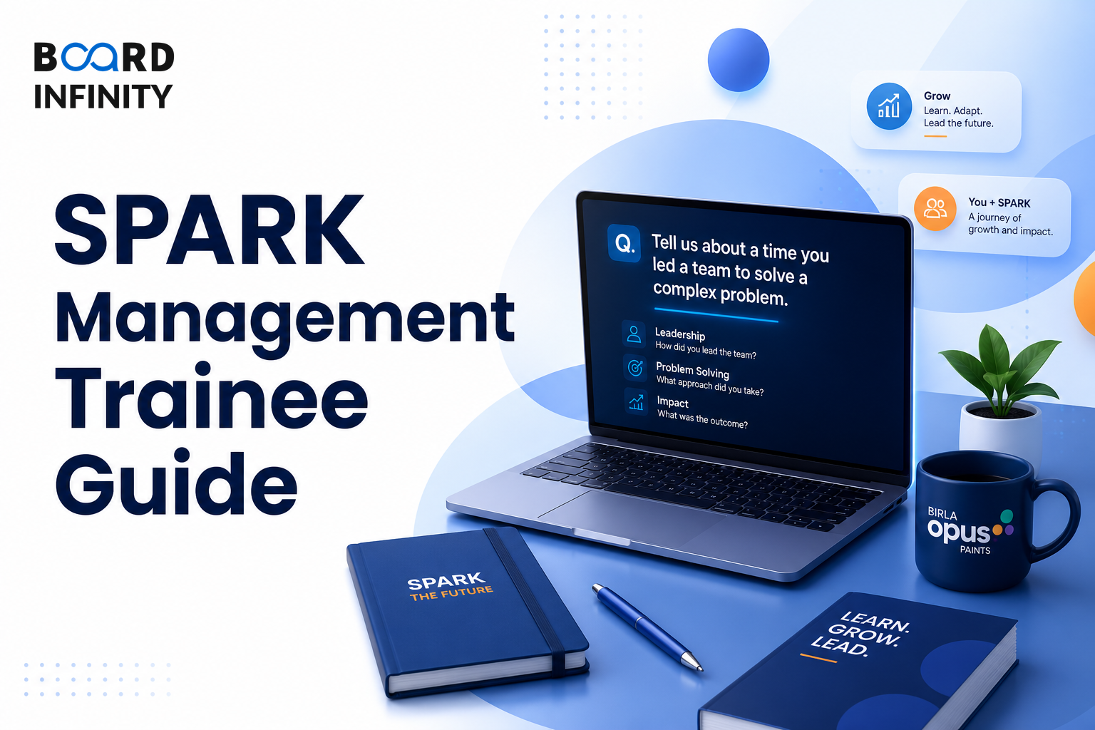 Birla Opus Paints: SPARK Management Trainee Interview Guide
