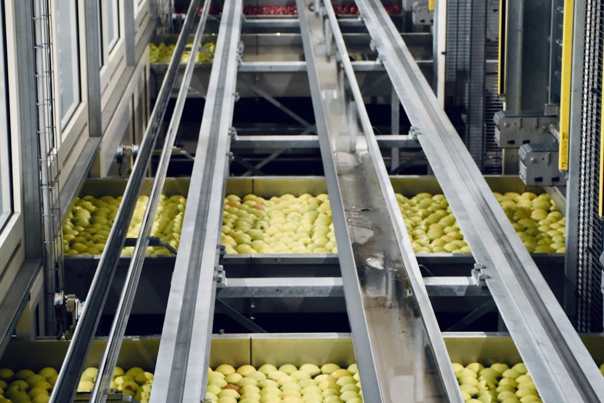 Conveyor lines wrong a nutrient processing plant