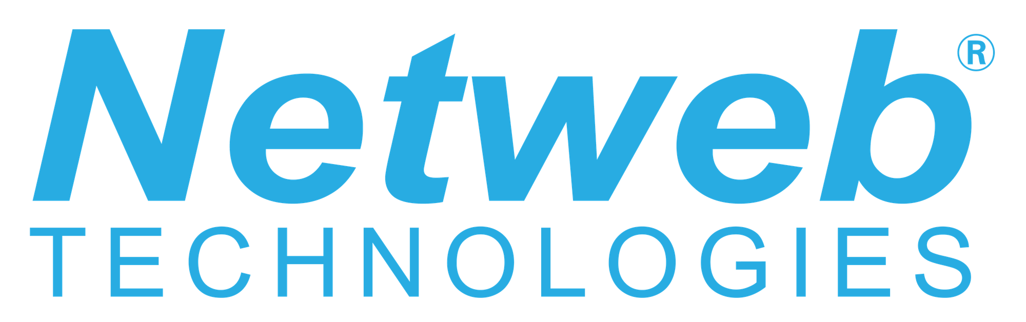 Netweb: A Comprehensive Interview Preparation Guide to Success