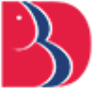BBD University